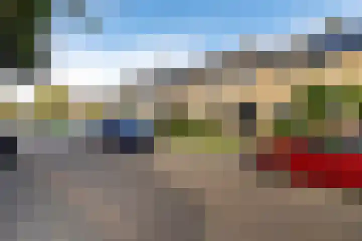 Dahliastraat 8 Hoogkarspel thumbnail 27