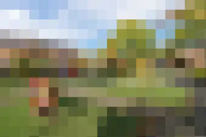 Dahliastraat 8 Hoogkarspel thumbnail 28