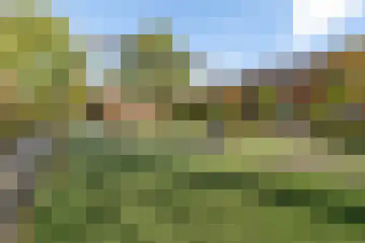 Dahliastraat 8 Hoogkarspel thumbnail 29