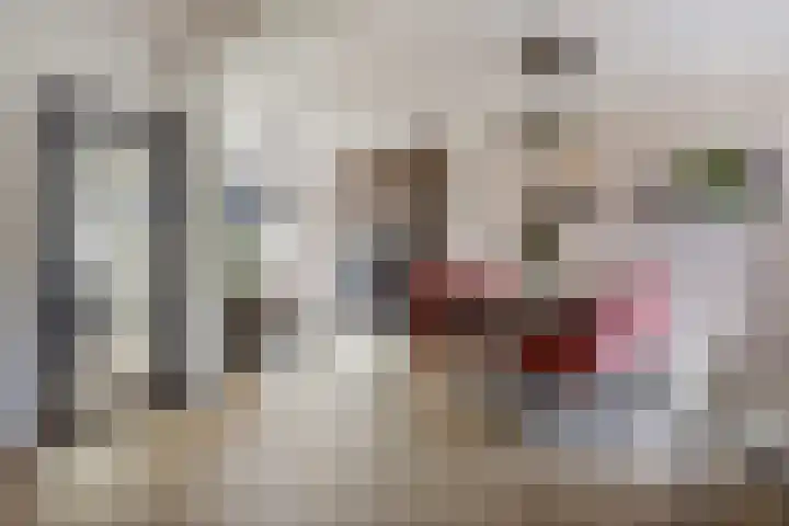 Dahliastraat 8 Hoogkarspel foto 3
