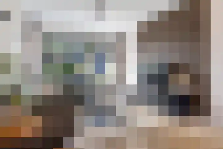 Dahliastraat 8 Hoogkarspel thumbnail 4