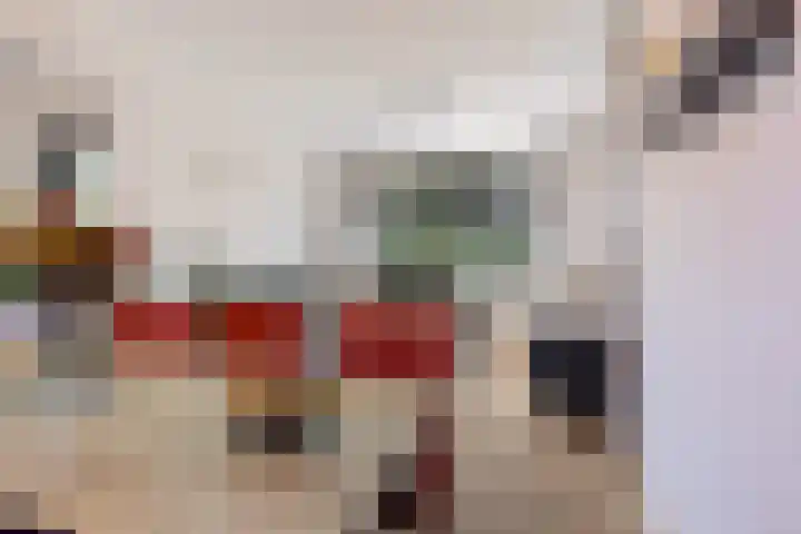 Dahliastraat 8 Hoogkarspel thumbnail 5