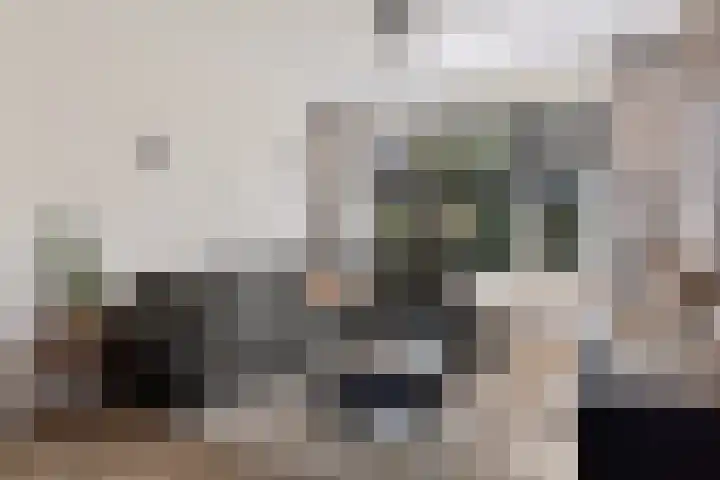 Dahliastraat 8 Hoogkarspel thumbnail 6