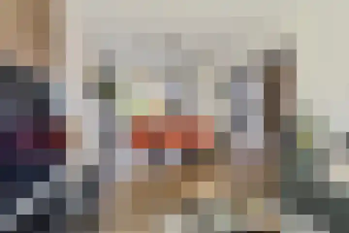 Dahliastraat 8 Hoogkarspel thumbnail 7