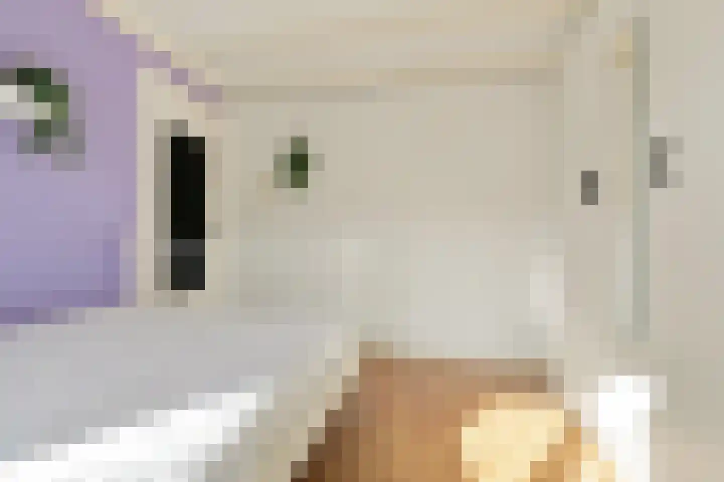 Dahliastraat 8 Koog aan de Zaan thumbnail 18