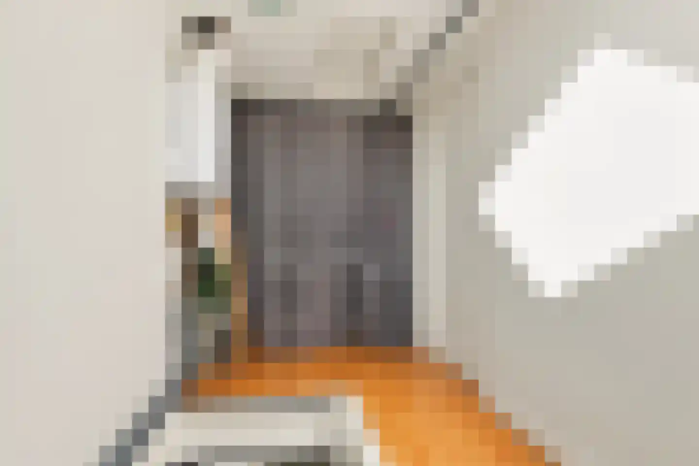 Dahliastraat 8 Koog aan de Zaan thumbnail 25