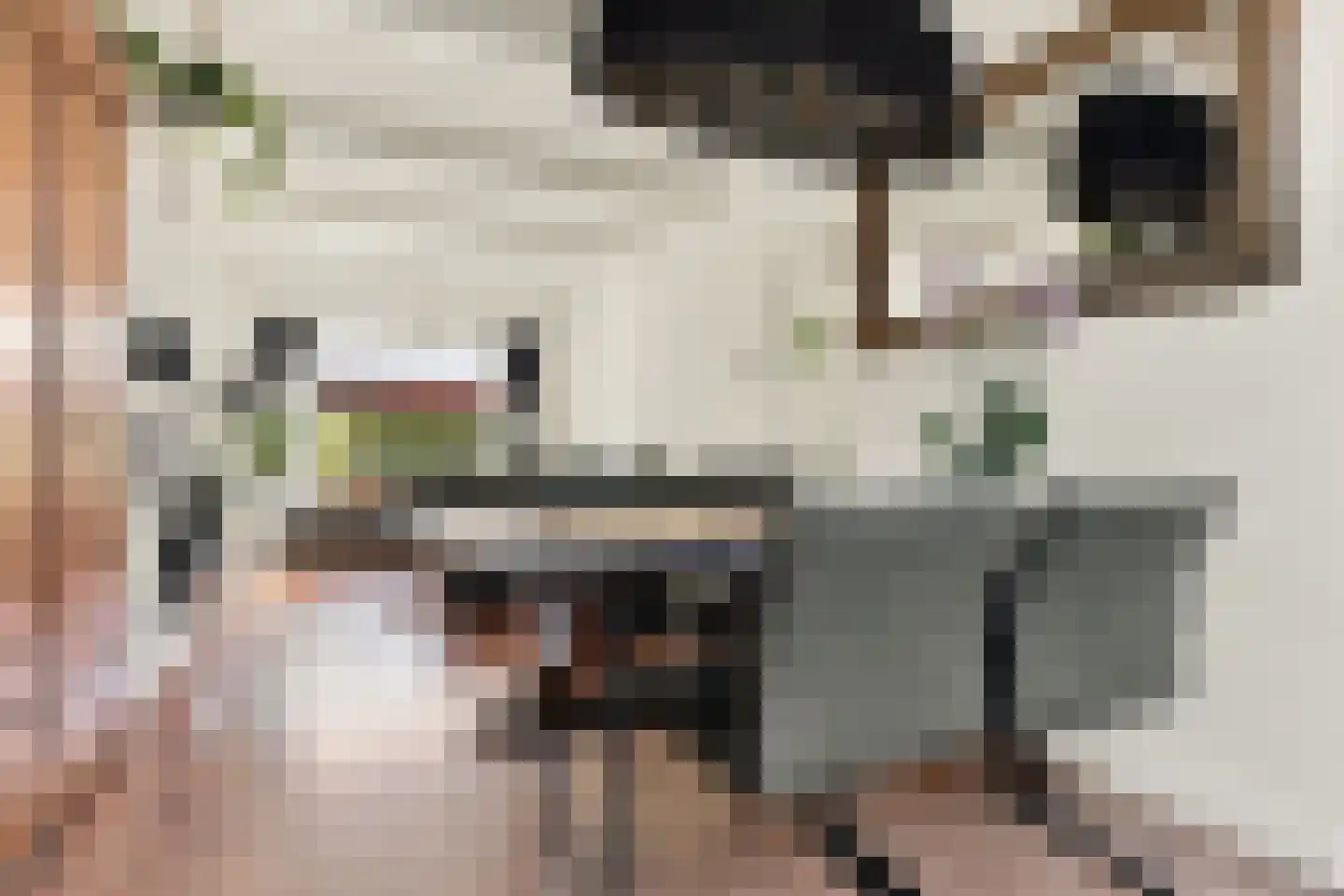 Dahliastraat 8 Koog aan de Zaan thumbnail 5