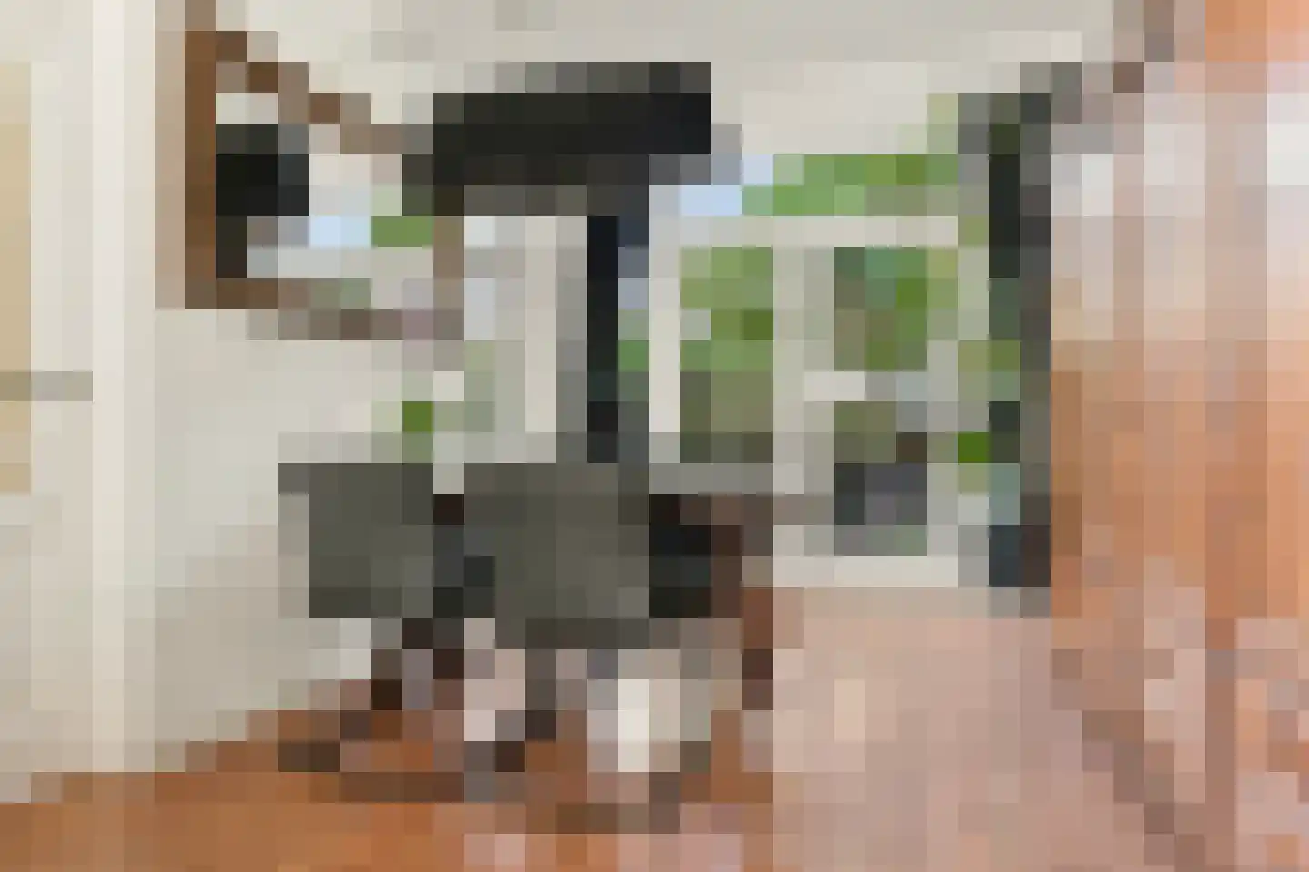 Dahliastraat 8 Koog aan de Zaan thumbnail 7