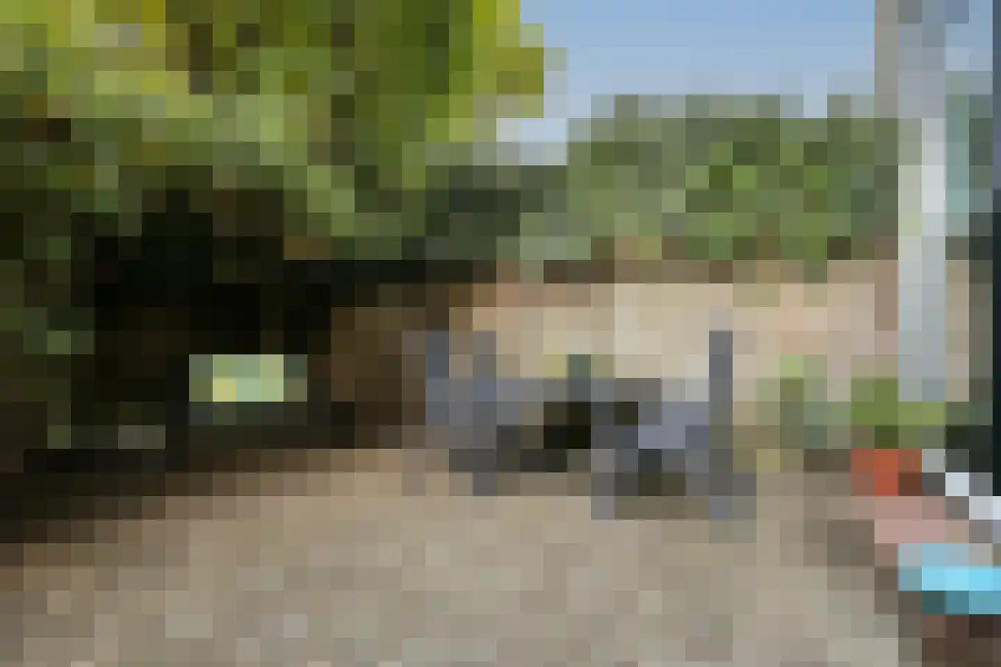 Dahliastraat 8 Koog aan de Zaan thumbnail 9