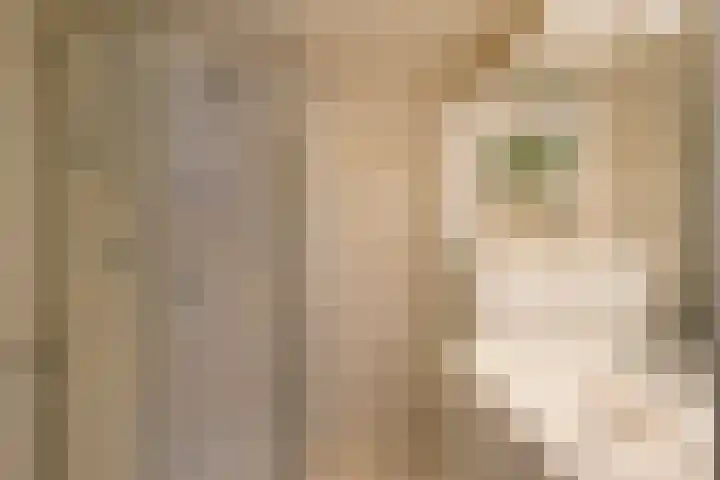 Dahliastraat 8 Made thumbnail 10