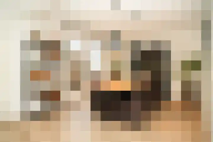 Dahliastraat 8 Nieuwendijk thumbnail 12