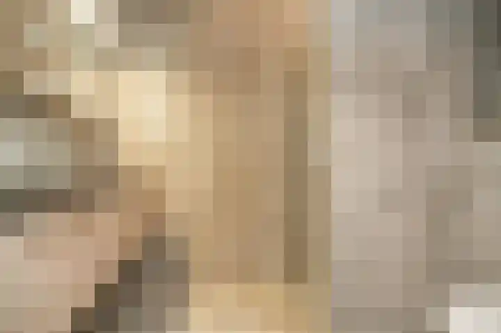 Dahliastraat 8 Nieuwendijk thumbnail 14