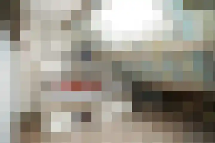 Dahliastraat 8 Nieuwendijk thumbnail 18
