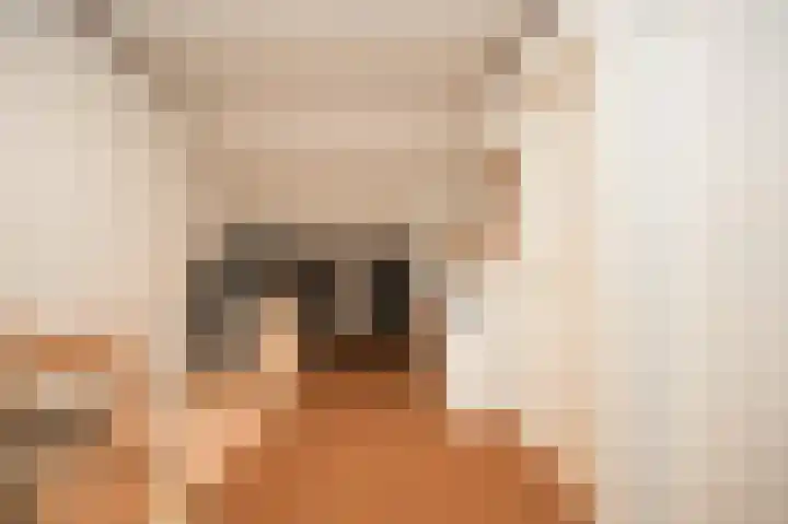 Dahliastraat 8 Nieuwendijk thumbnail 20