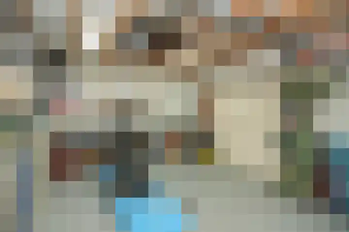 Dahliastraat 8 Nieuwendijk thumbnail 22