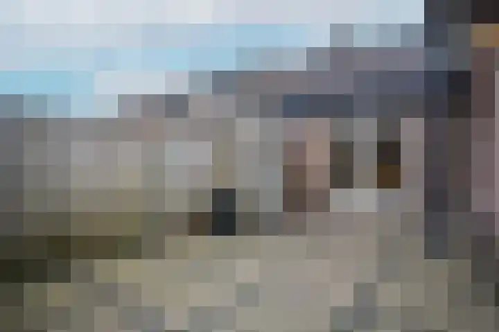 Dahliastraat 8 Nieuwendijk thumbnail 23