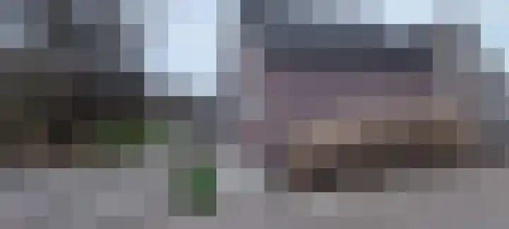 Dahliastraat 8 Nieuwendijk thumbnail 25