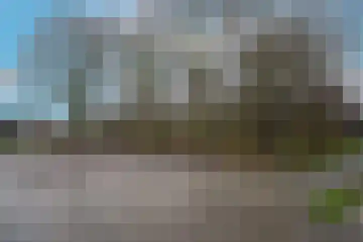 Dahliastraat 8 Nieuwendijk thumbnail 26