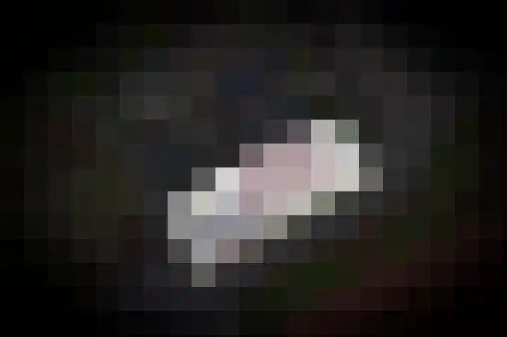 Dahliastraat 8 Nieuwendijk thumbnail 27