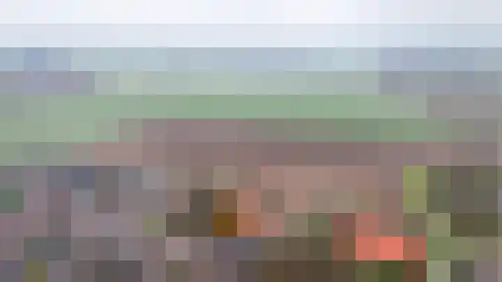 Dahliastraat 8 Nieuwendijk thumbnail 30