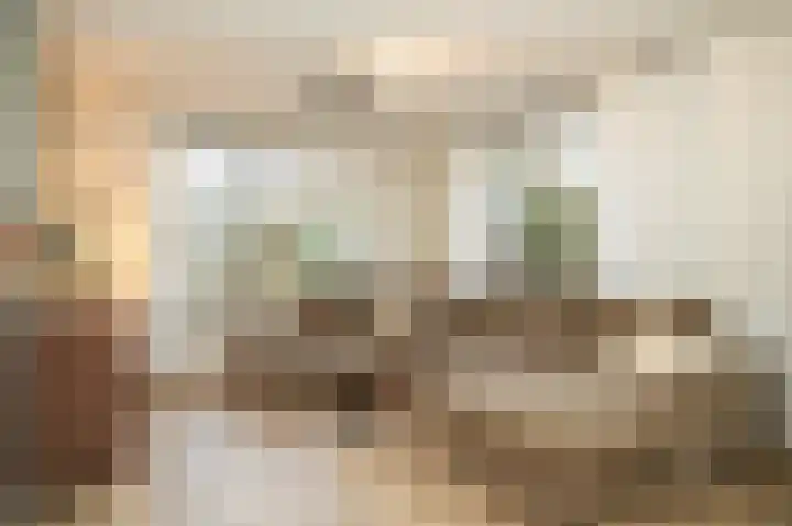 Dahliastraat 8 Nieuwendijk thumbnail 6