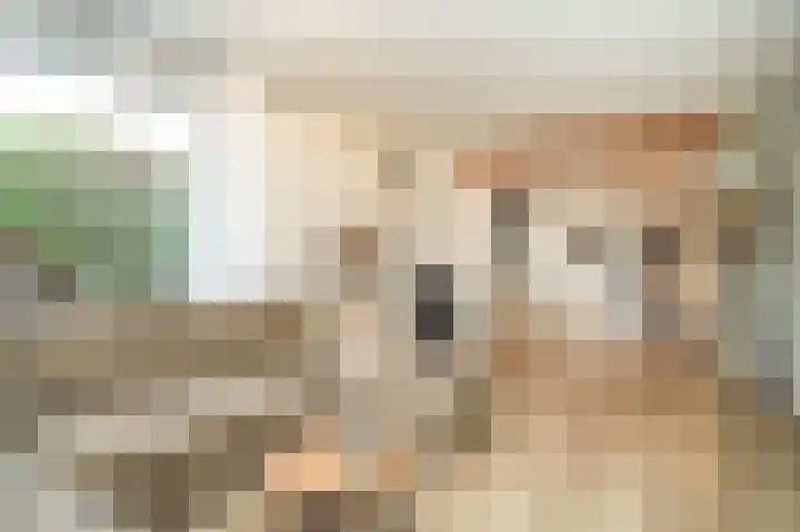 Dahliastraat 8 Nieuwendijk thumbnail 7