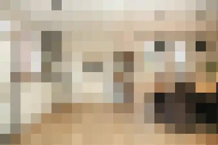 Dahliastraat 8 Nieuwendijk thumbnail 8