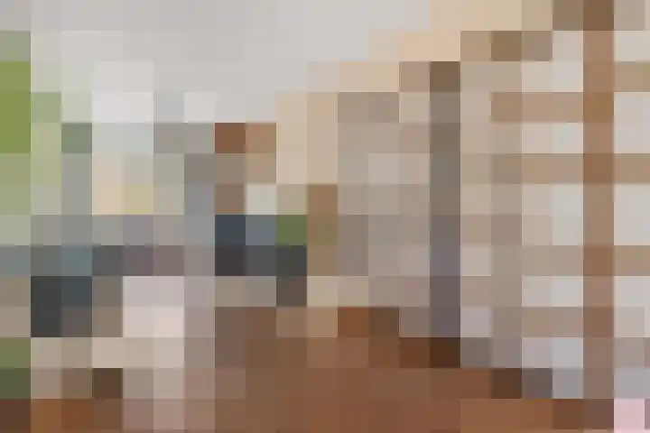 Dahliastraat 8 Rijswijk thumbnail 10