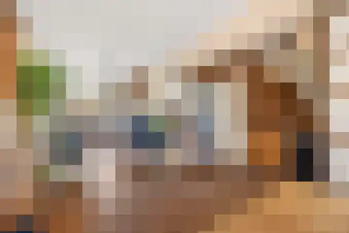 Dahliastraat 8 Rijswijk thumbnail 11