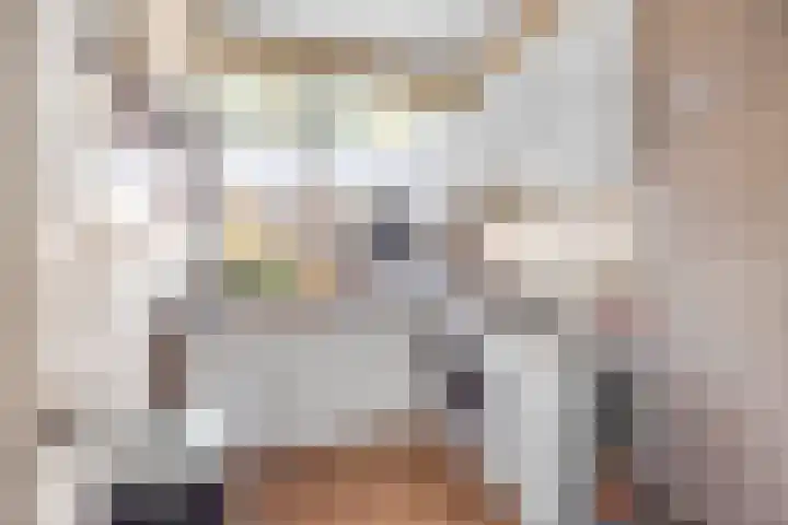 Dahliastraat 8 Rijswijk thumbnail 12