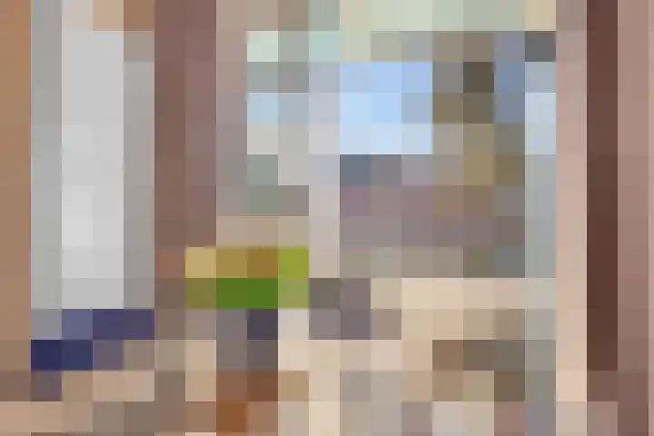 Dahliastraat 8 Rijswijk thumbnail 14
