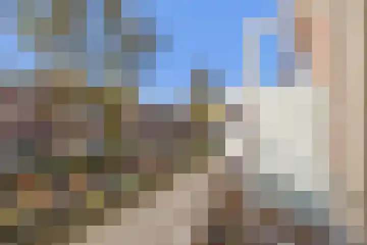 Dahliastraat 8 Rijswijk thumbnail 15