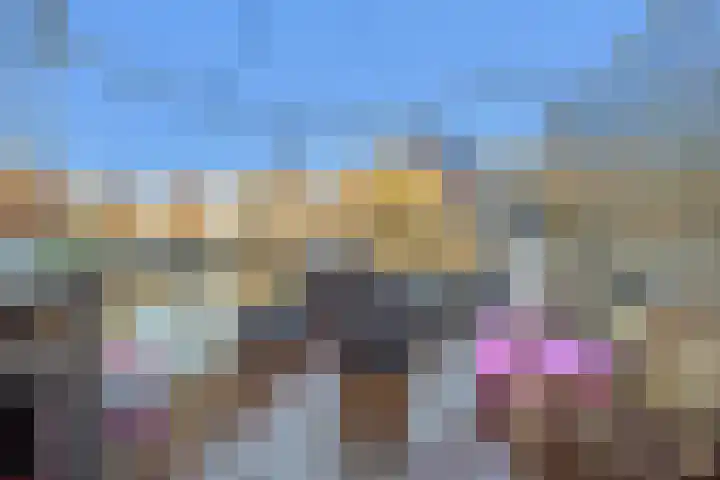 Dahliastraat 8 Rijswijk thumbnail 16