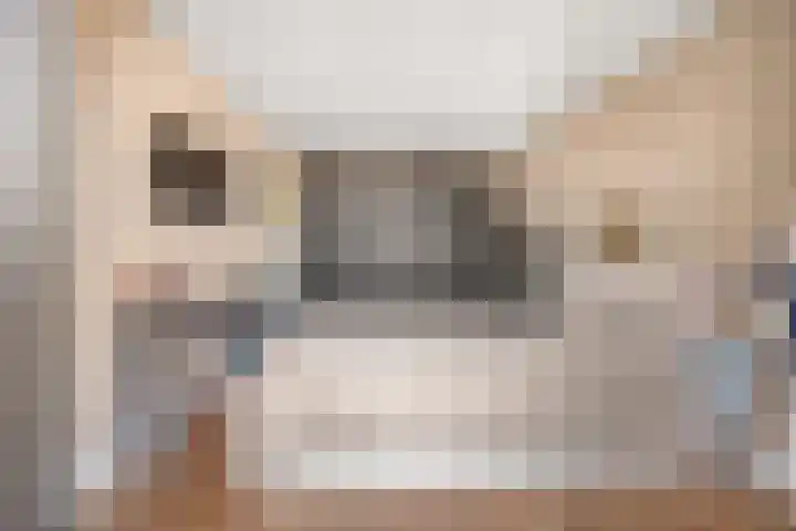 Dahliastraat 8 Rijswijk thumbnail 22