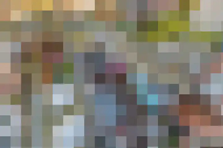 Dahliastraat 8 Rijswijk thumbnail 24