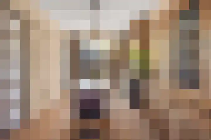 Dahliastraat 8 Rijswijk thumbnail 7
