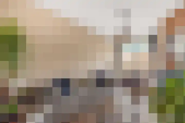 Dahliastraat 8 Rijswijk thumbnail 8