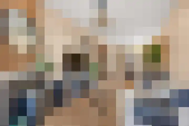 Dahliastraat 8 Rijswijk thumbnail 9