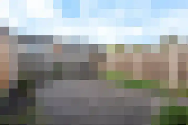 Dahliastraat 8 Steenbergen thumbnail 11