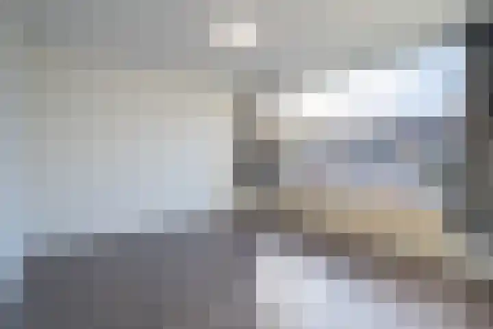 Dahliastraat 8 Steenbergen thumbnail 14