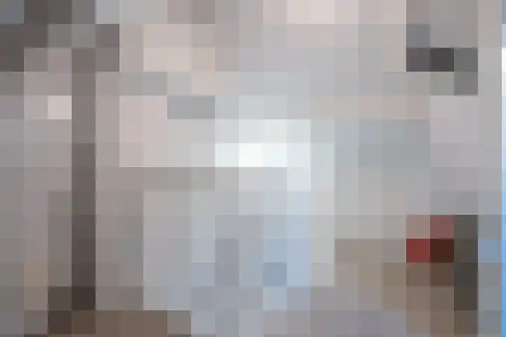 Dahliastraat 8 Steenbergen thumbnail 21