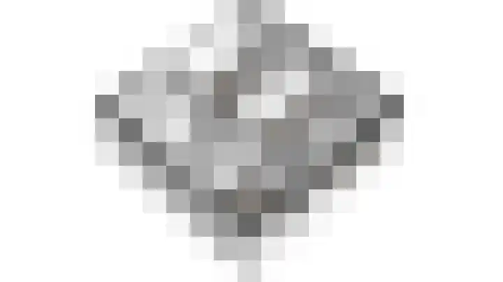 Dahliastraat 8 Steenbergen thumbnail 31