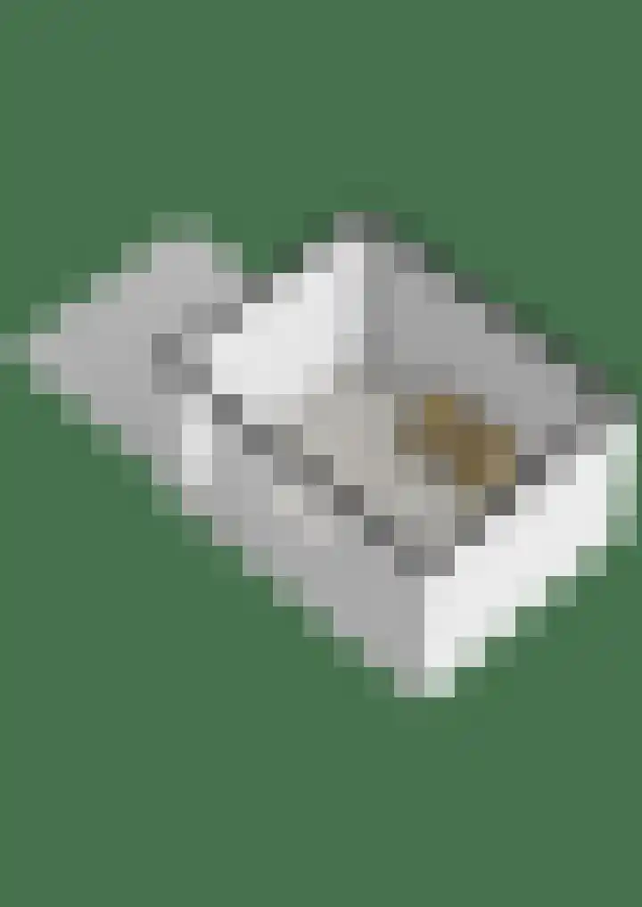 Dahliastraat 8 Steenbergen thumbnail 35