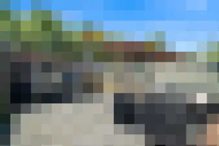 Dahliastraat 82 Den Helder thumbnail 19