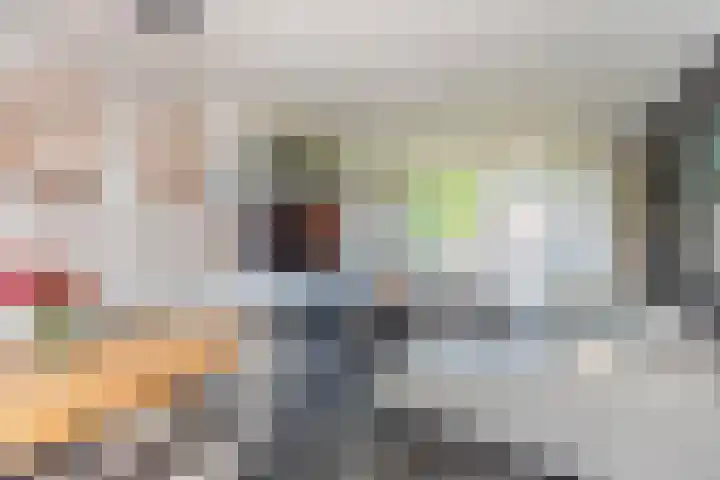 Dahliastraat 84 Zwijndrecht thumbnail 8