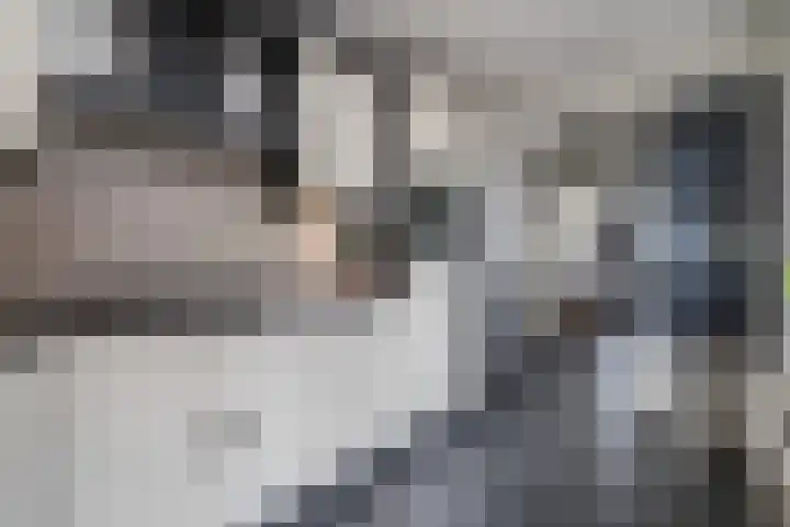 Dahliastraat 87 Weert thumbnail 11