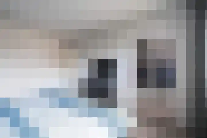 Dahliastraat 87 Weert thumbnail 17