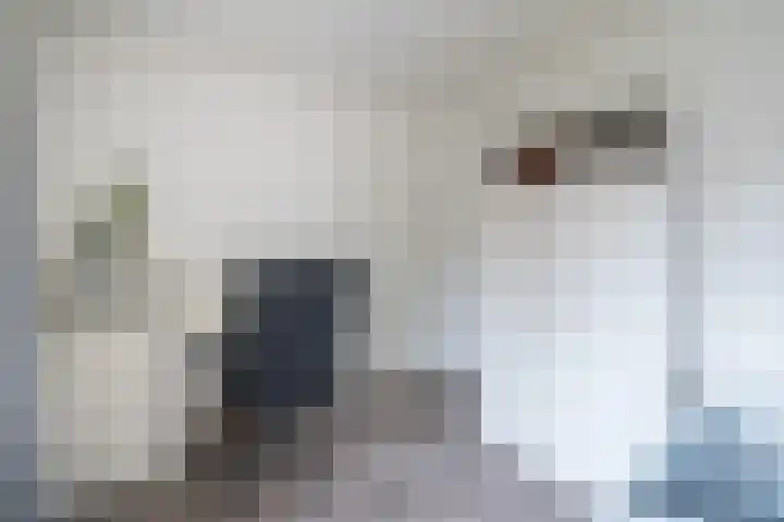 Dahliastraat 87 Weert thumbnail 22