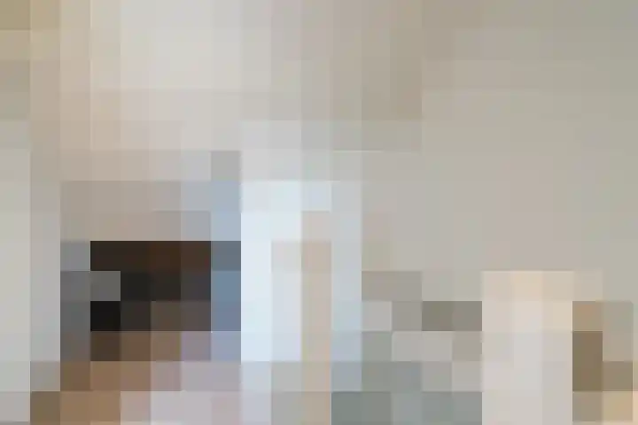 Dahliastraat 87 Weert thumbnail 27