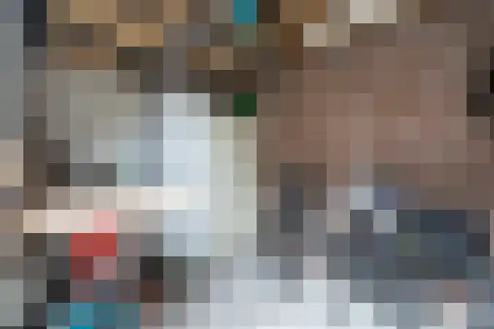 Dahliastraat 87 Weert thumbnail 31
